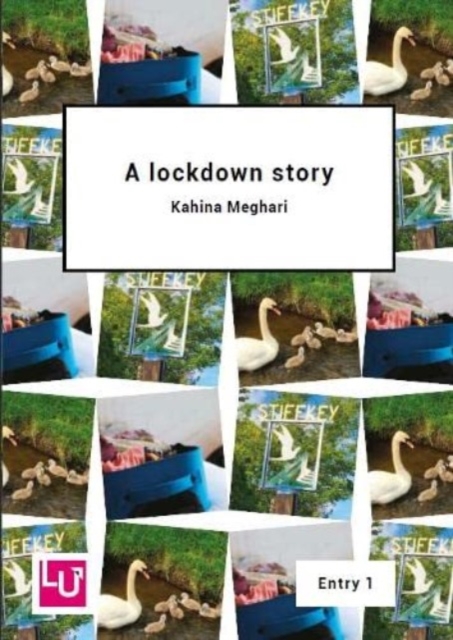 lockdown story