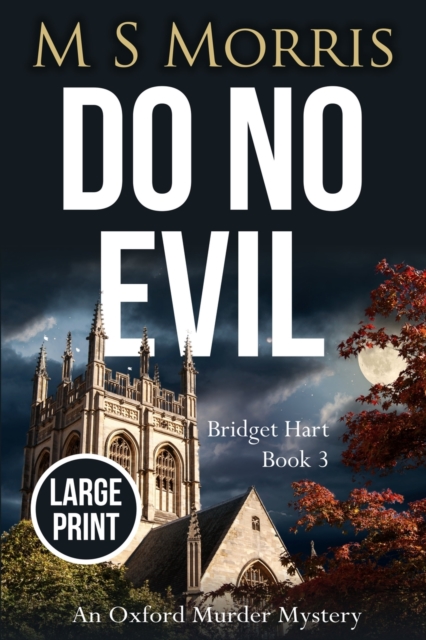 Do No Evil (Large Print)