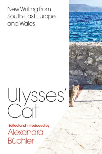 Ulysses's Cat