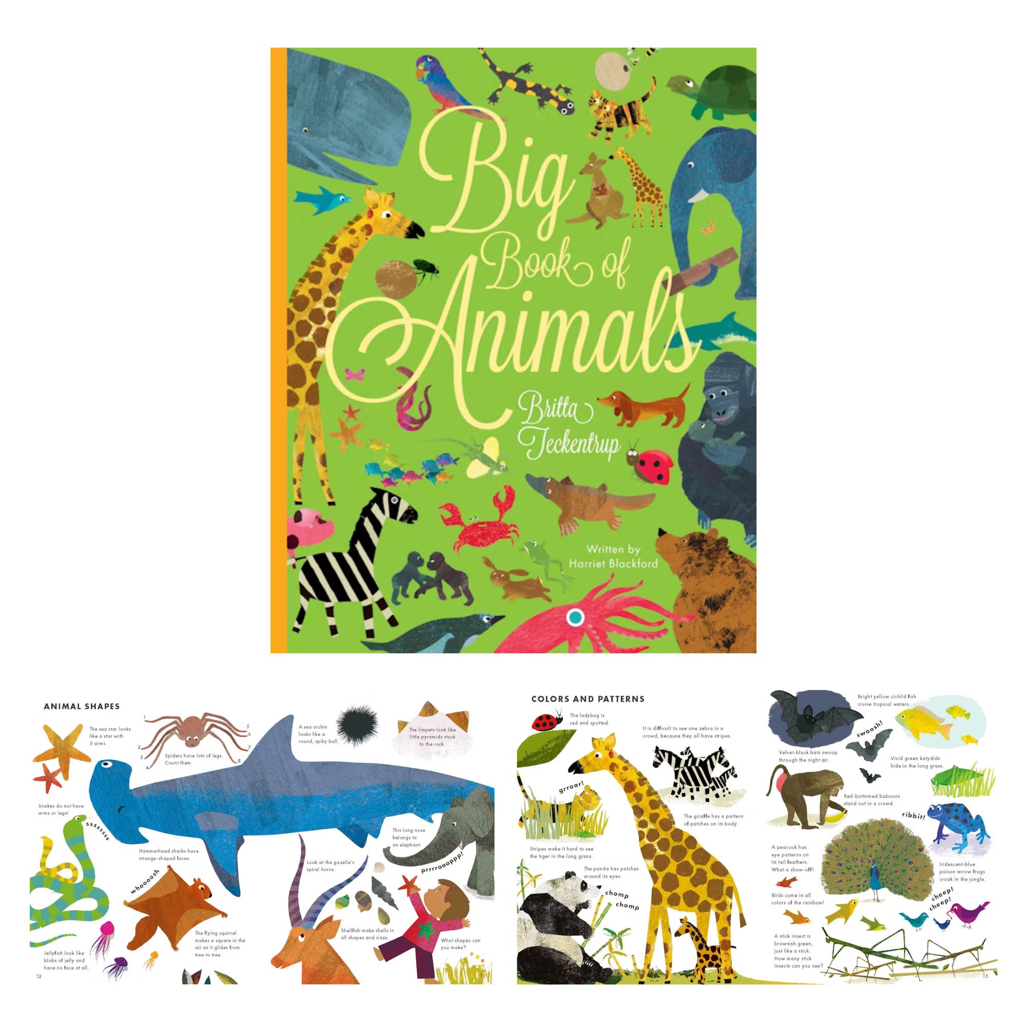 Big Book of Animals