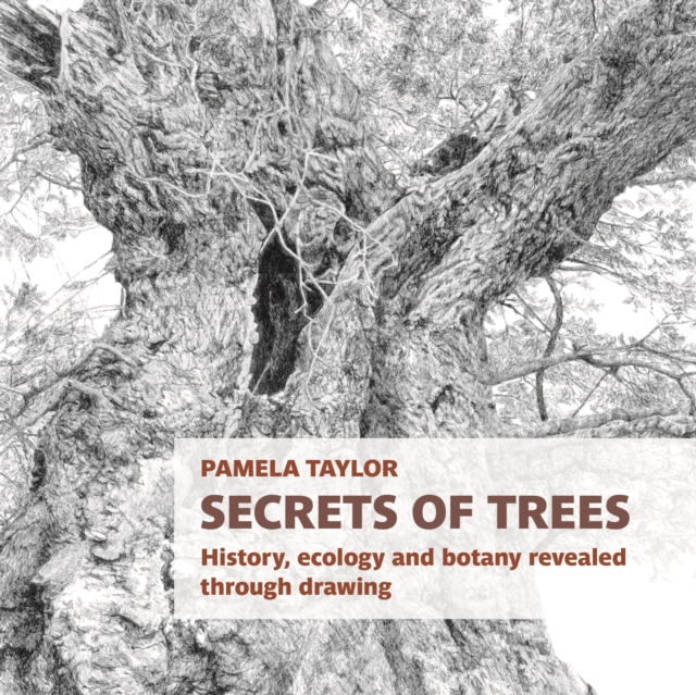 Secrets of Trees