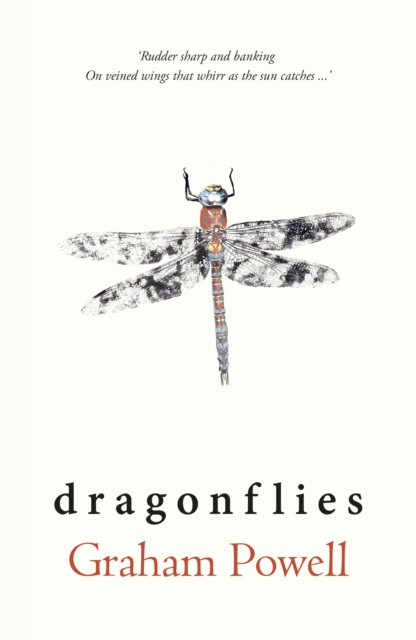 Dragonflies