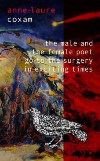 The Male and the Female Poet Go to the Surgery in Exciting Times