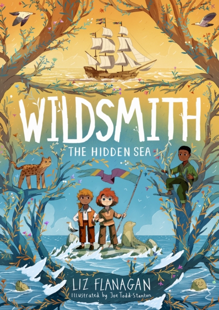 Wildsmith: The Hidden Sea (The Wildsmith Book #3)