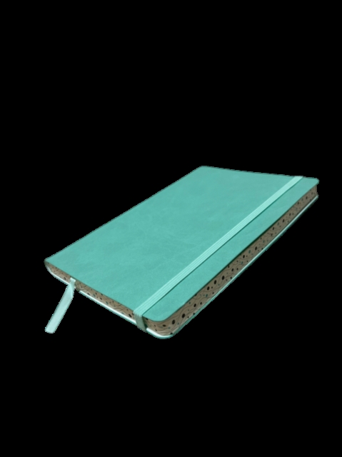 Ashridge A5 Elastic Pu Notebook Mint Green 5566-1