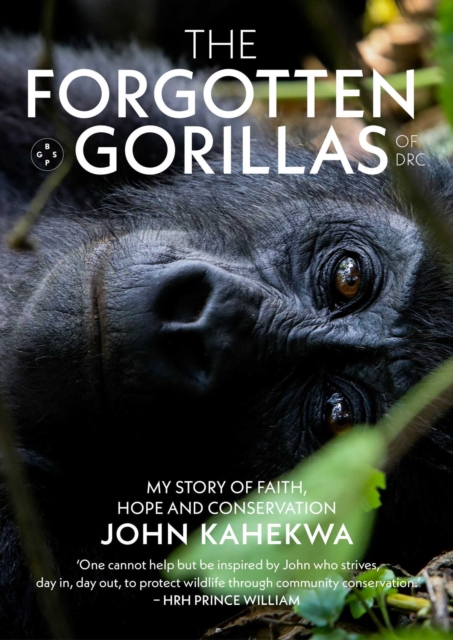 The Forgotten Gorillas of DRC