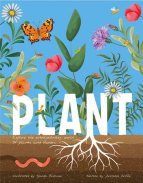 Plant