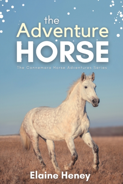 Adventure Horse