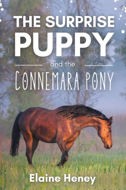 Surprise Puppy and the Connemara Pony
