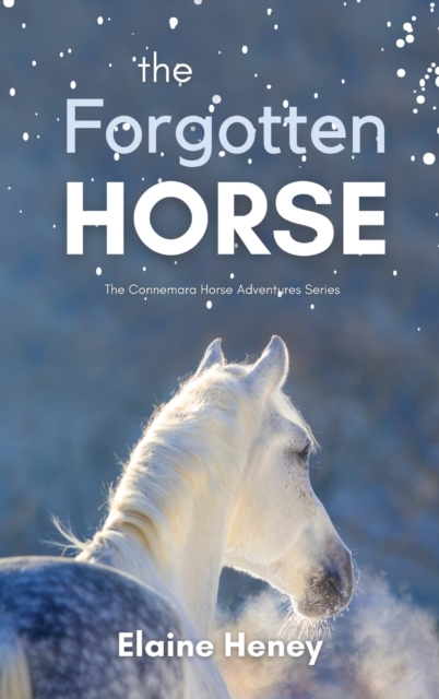 Forgotten Horse - Book 1 in the Connemara Horse Adventure Series for Kids | The Perfect Gift for Children