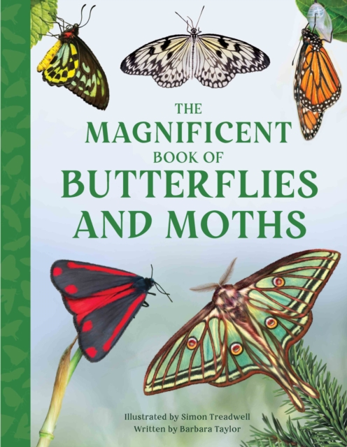 Magnificent Book of Butterflies and Moths