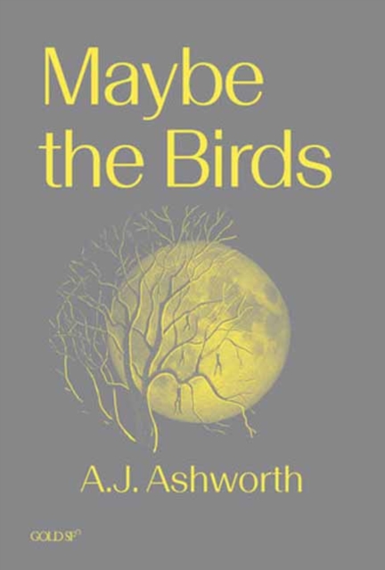Maybe the Birds