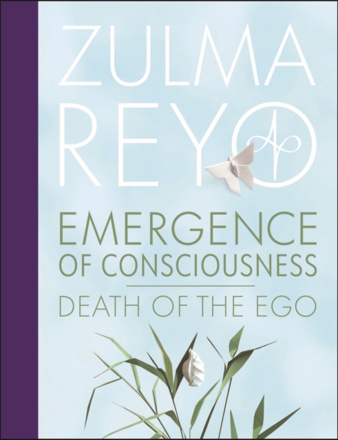 Emergence Of Consciousness