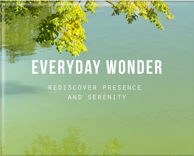 Everyday Wonder