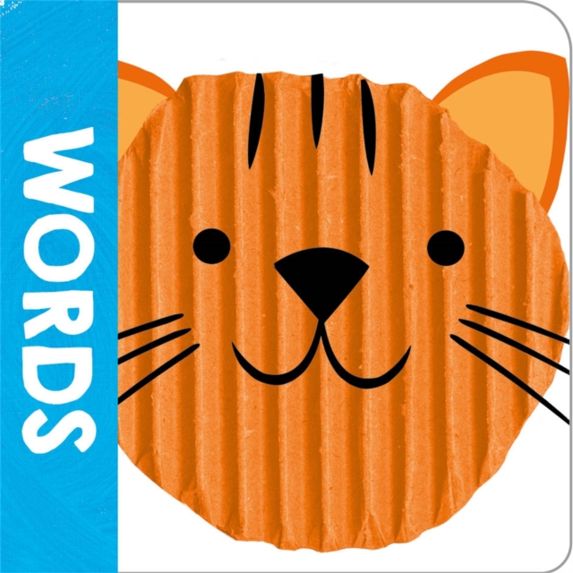 See, Touch, Feel Words (Chunky Set)