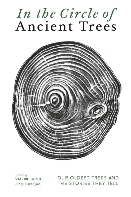 In The Circle of Ancient Trees