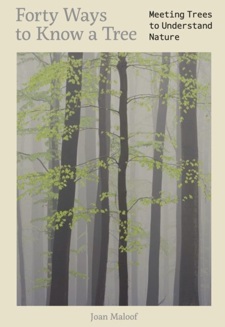 Forty Ways to Know a Tree