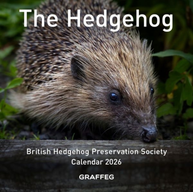 The Hedgehog Calendar 2026