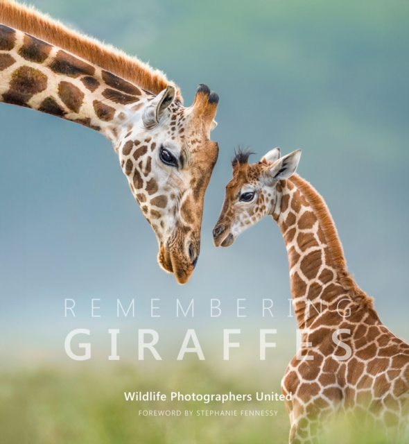 Remembering Giraffes
