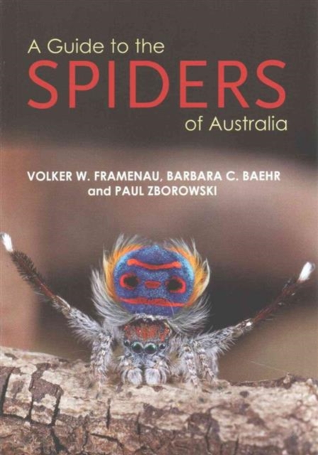 Guide to the Spiders of Australia