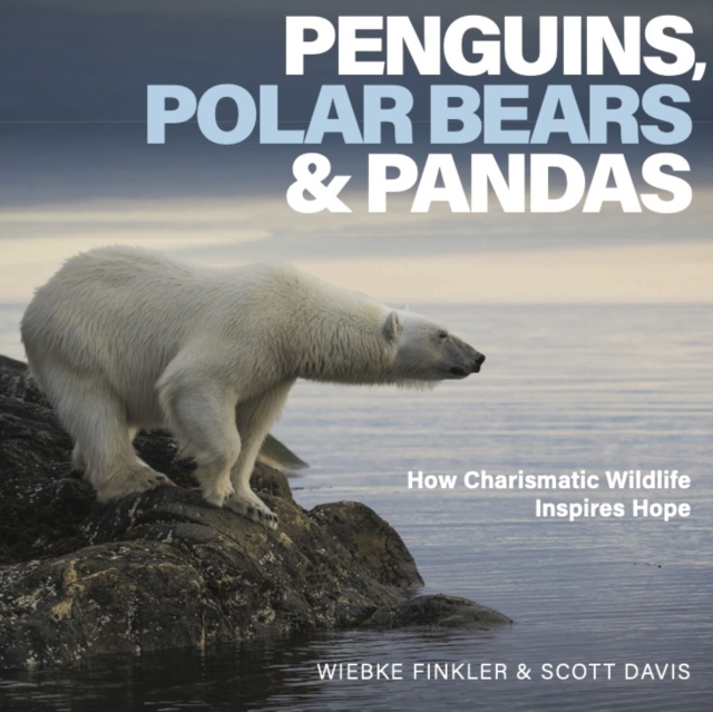 Penguins, Polar Bears & Pandas