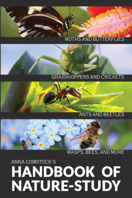 Handbook Of Nature Study in Color - Insects