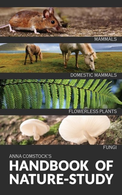 Handbook Of Nature Study in Color - Mammals and Flowerless Plants