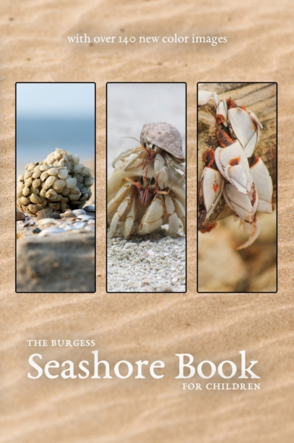 Burgess Seashore Book with new color images