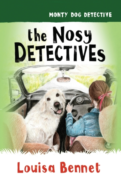 Nosy Detectives