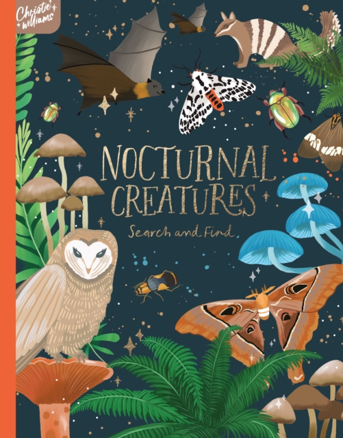 Nocturnal Creatures Search and Find