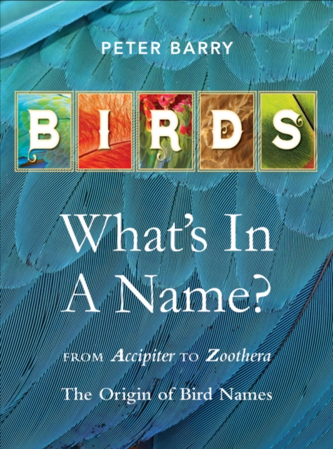 Birds: What's In A Name?