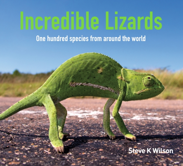 Incredible Lizards