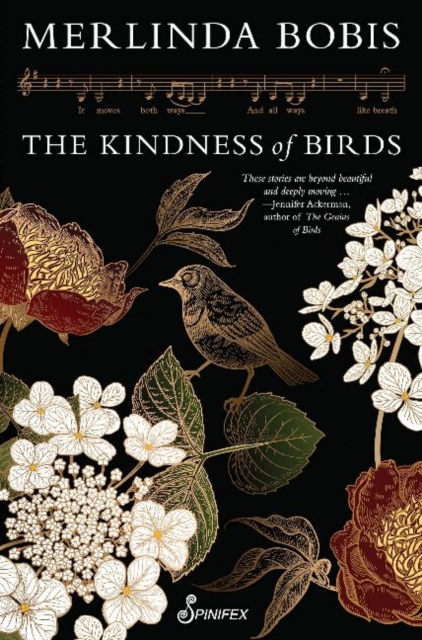 Kindness of Birds