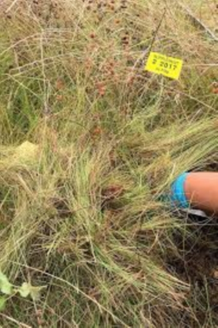 Supplement 2: Exclusion Zones