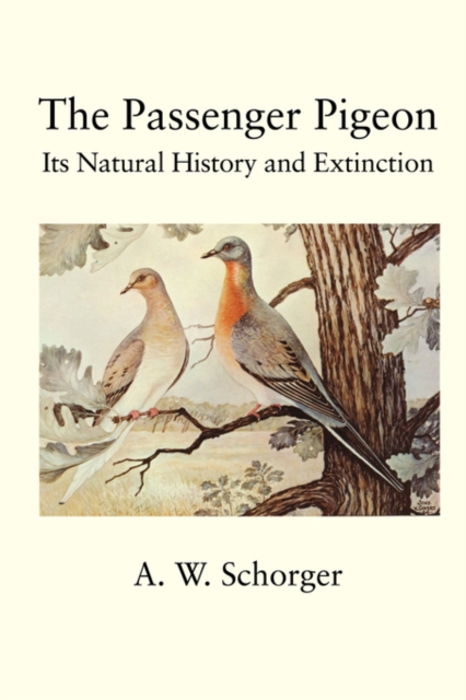 Passenger Pigeon