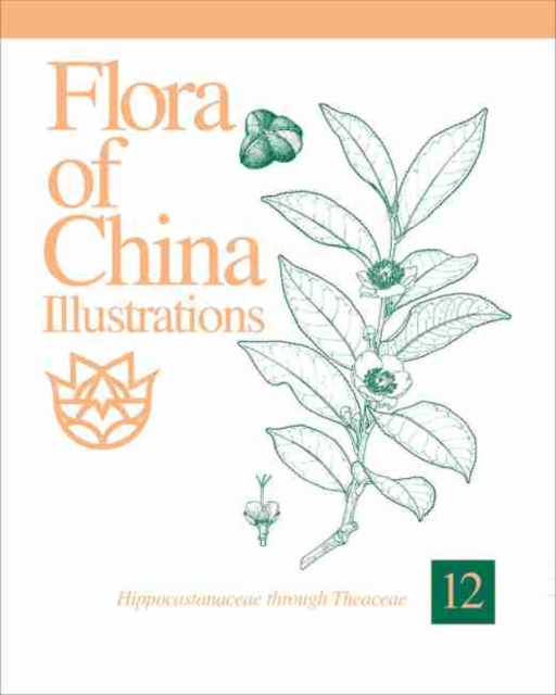 Flora of China Illustrations, Volume 12 - Hippocastanaceae through Theaceae