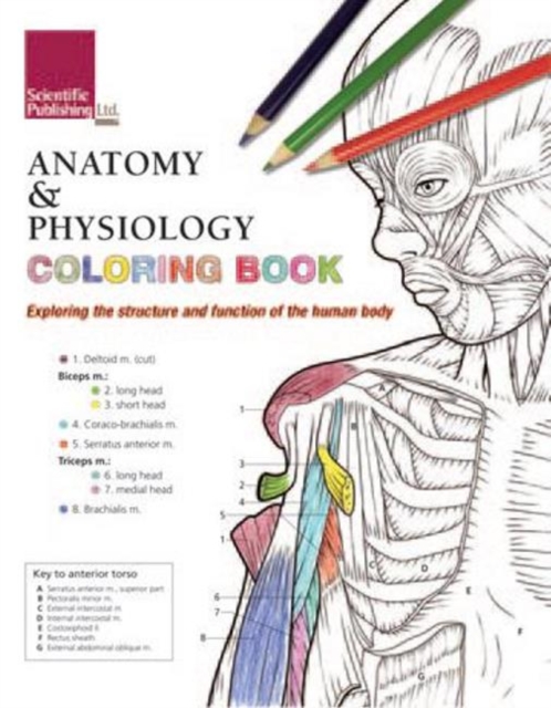 Anatomy & Physiology Colouring Book