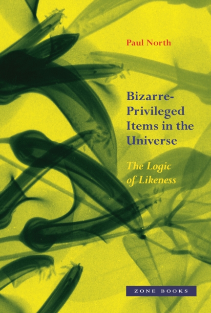 Bizarre-Privileged Items in the Universe - The Logic of Likeness