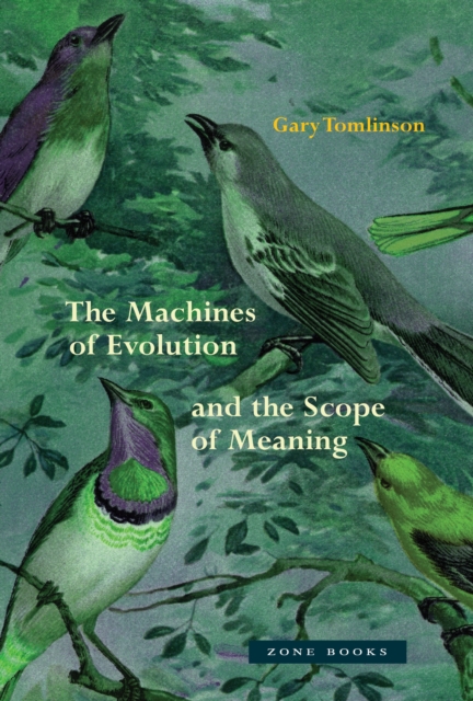 Machines of Evolution and the Scope of Meaning