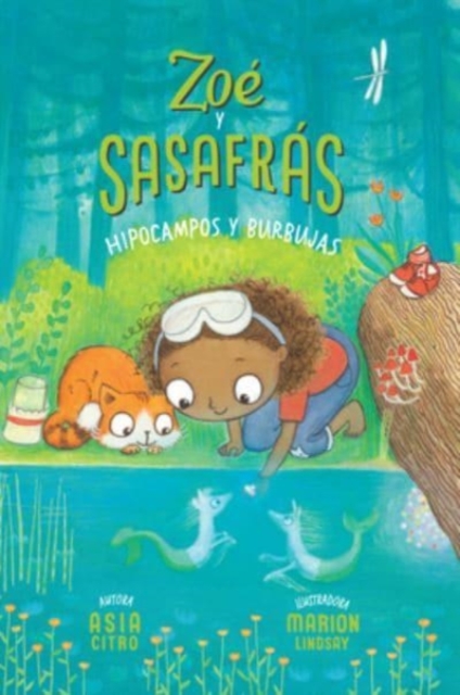 Hipocampos y Burbujas/ Hippocampus and Bubbles