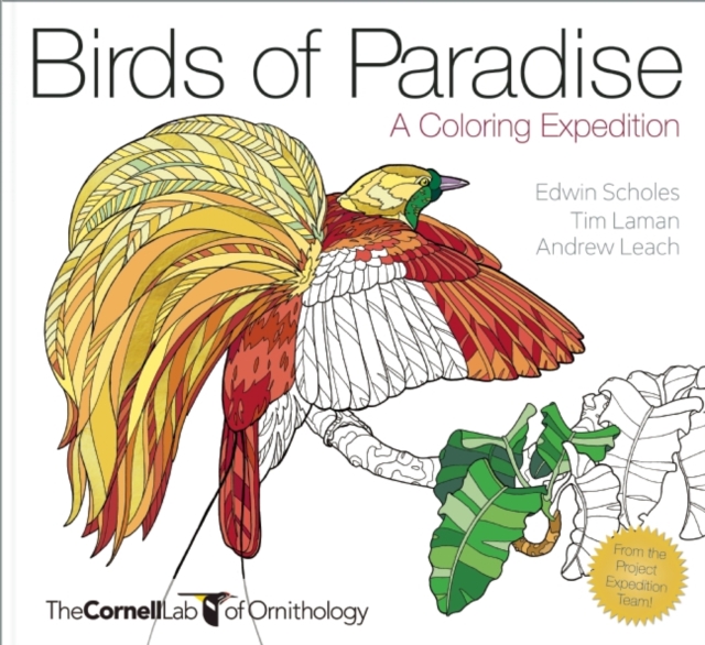 Birds of Paradise - A Coloring Expedition