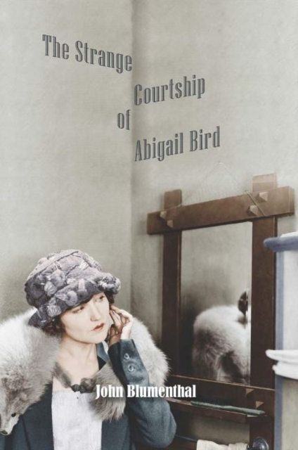 Strange Courtship of Abigail Bird