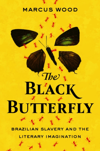 The Black Butterfly