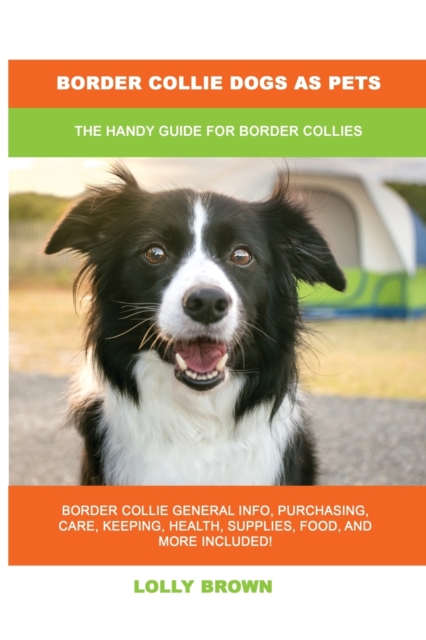 Border Collie Dogs as Pets
