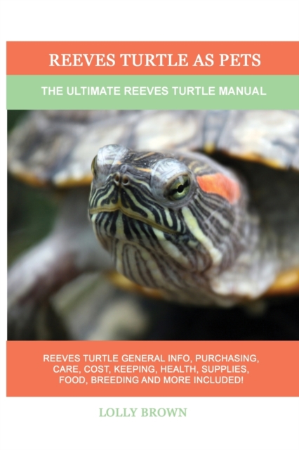 Reeves Turtle as Pets