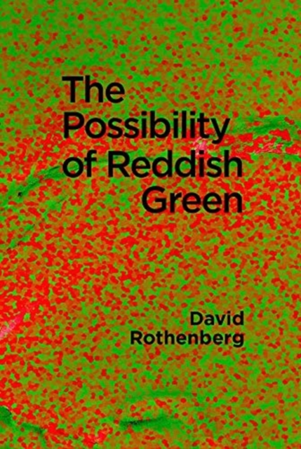 Possibility of Reddish Green - Wittgenstein Outside Philosophy