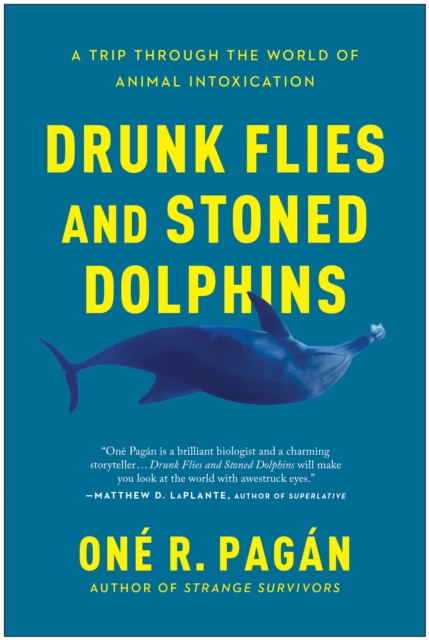Drunk Flies and Stoned Dolphins