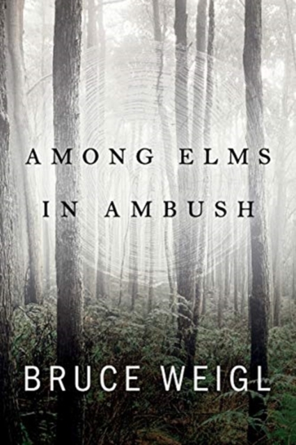 Among Elms, in Ambush