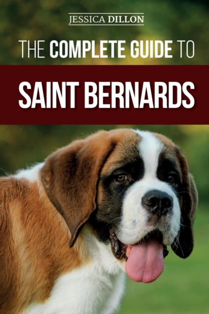 Complete Guide to Saint Bernards