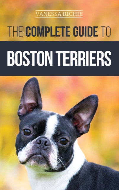 Complete Guide to Boston Terriers